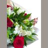 Сердце и крылья